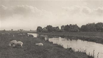 PETER HENRY EMERSON (1856-1936) Cattle on the Marshes * On the River Bure, from Life and Landscape on the Norfolk Broads.